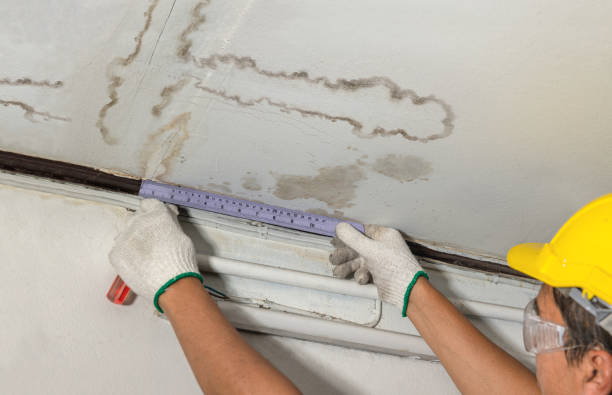 Reliable Mold Remediation contractor in San Leandro, CA by Water Damage Irwin
